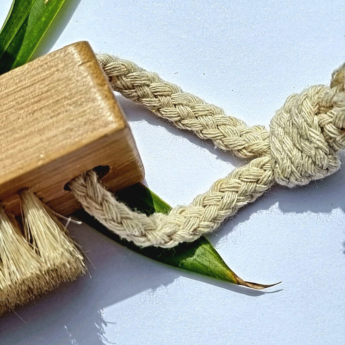 bamboo plastic free nail brush