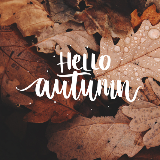 🍂 For the Autumnholics: How to Embrace Autumn the Eco Way