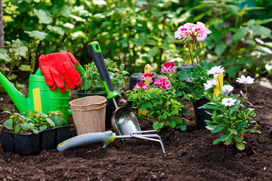 Spring Gardening Tips for a Greener You