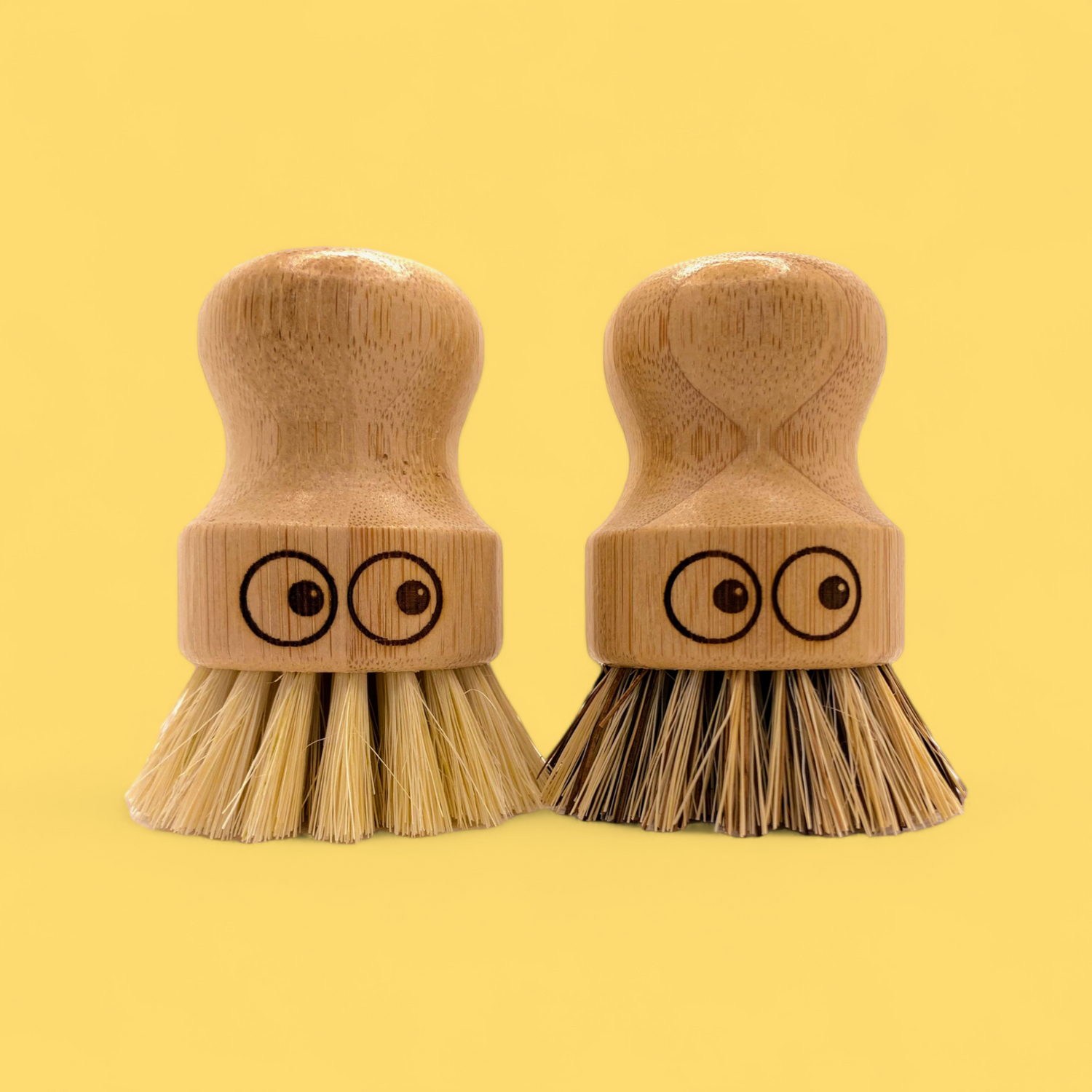 eco friendly gifts