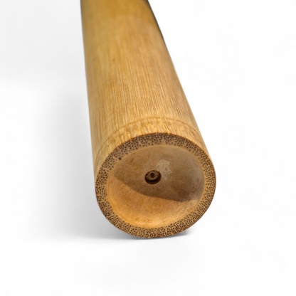 Bamboo Toothbrush Holder | Adult Bamboo Toothbrush Case