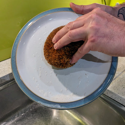 Hedgehog Coconut Scourer | Biodegradable Reusable Washing Up Scourer