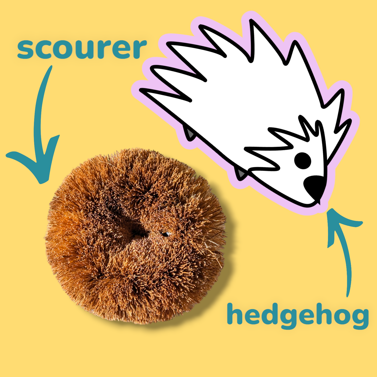 Hedgehog Coconut Scourer | Biodegradable Reusable Washing Up Scourer